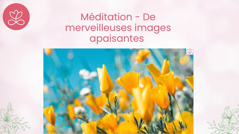 Jour 30. Méditation - De merveilleuses images apaisantes avec Michelle Maillard (25 min)